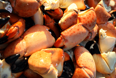 Stone Crab Claws