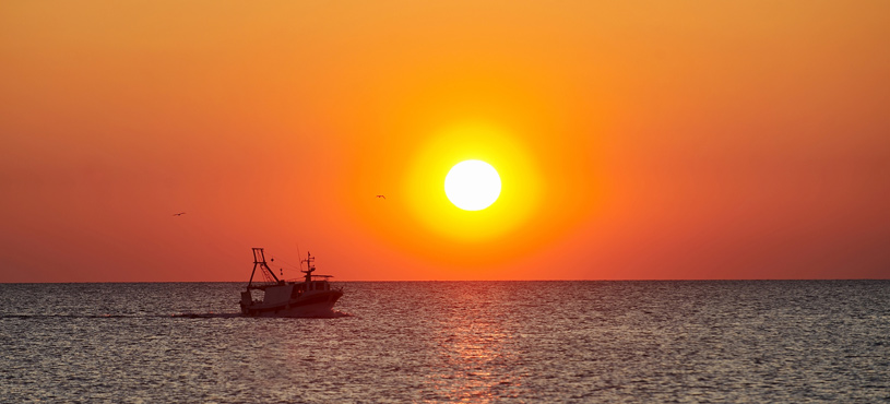 About Triar Seafood
