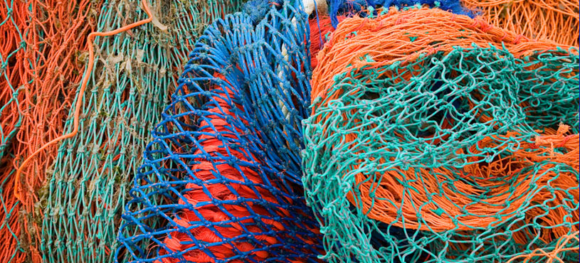 Triar Seafood Retail Store